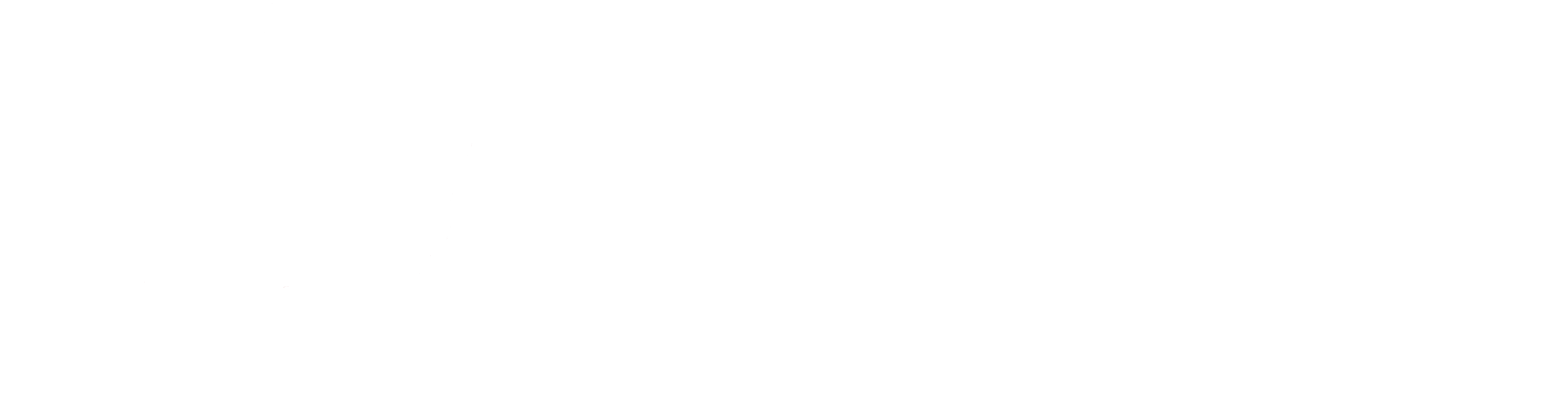 Triiris Advisors Final NEW Brand White.png